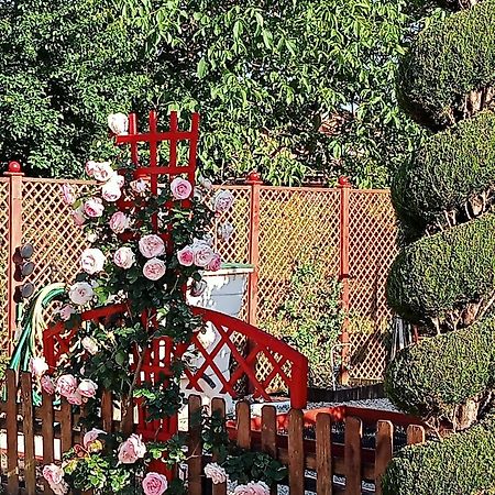 Une Pause Quelque Part Au Jardin Des Erables Et Des Niwakis Saint-Medard-de-Guizieres Eksteriør bilde