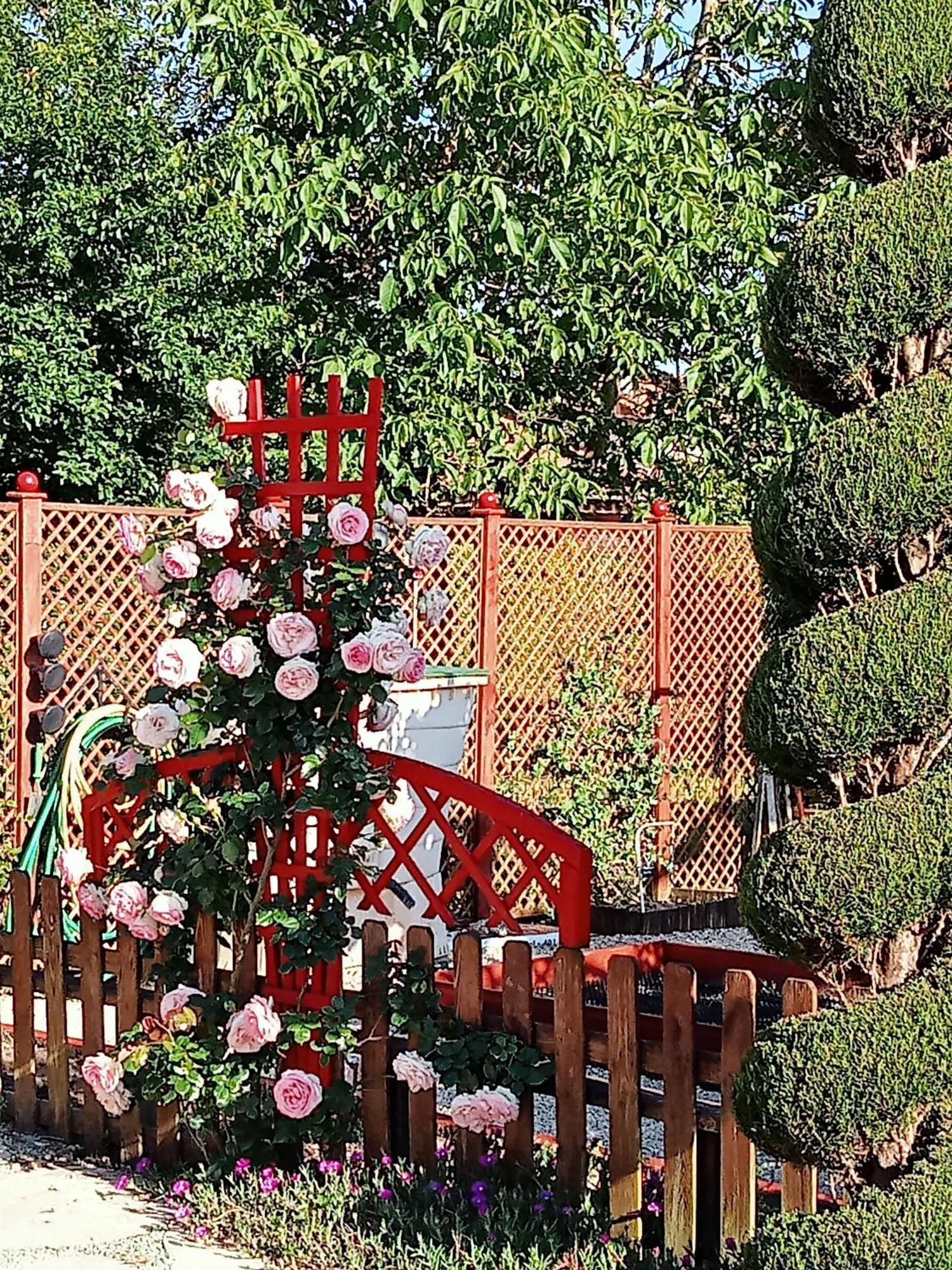 Une Pause Quelque Part Au Jardin Des Erables Et Des Niwakis Saint-Medard-de-Guizieres Eksteriør bilde